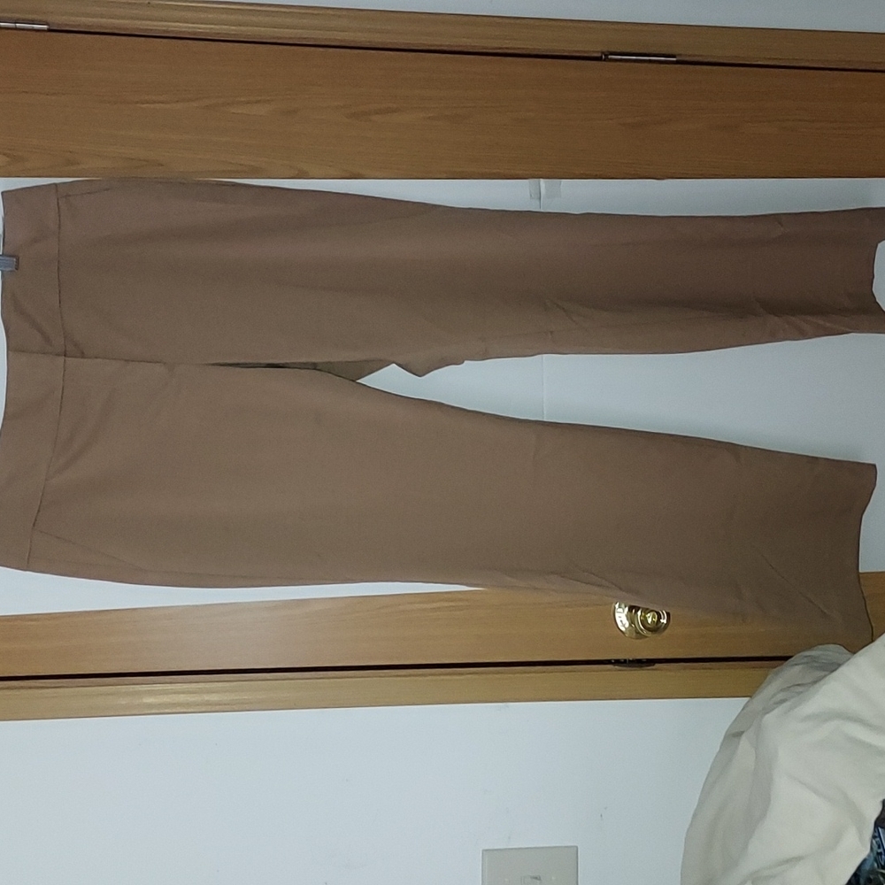 Ann Taylor woman's trouser